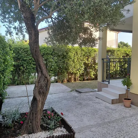 Olive Tree 아파트